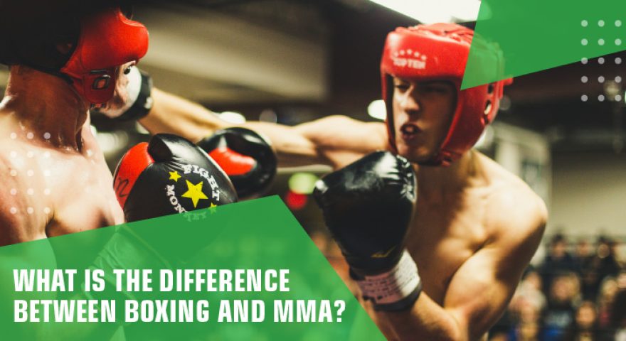 what-is-the-difference-between-boxing-and-mma-banner